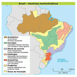 Regionalização do Brasil segundo Aziz Ab'Sáber, considerando os aspectos naturais do espaço